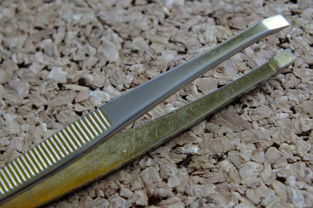 Что входит в набор нумизмата? Пинцеты и их разновидности