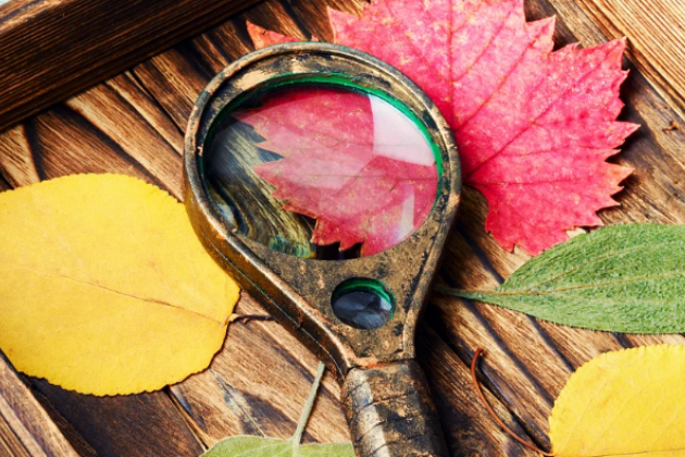 Роль увеличительных линз в жизни нумизмата. Так ли нужна лупа